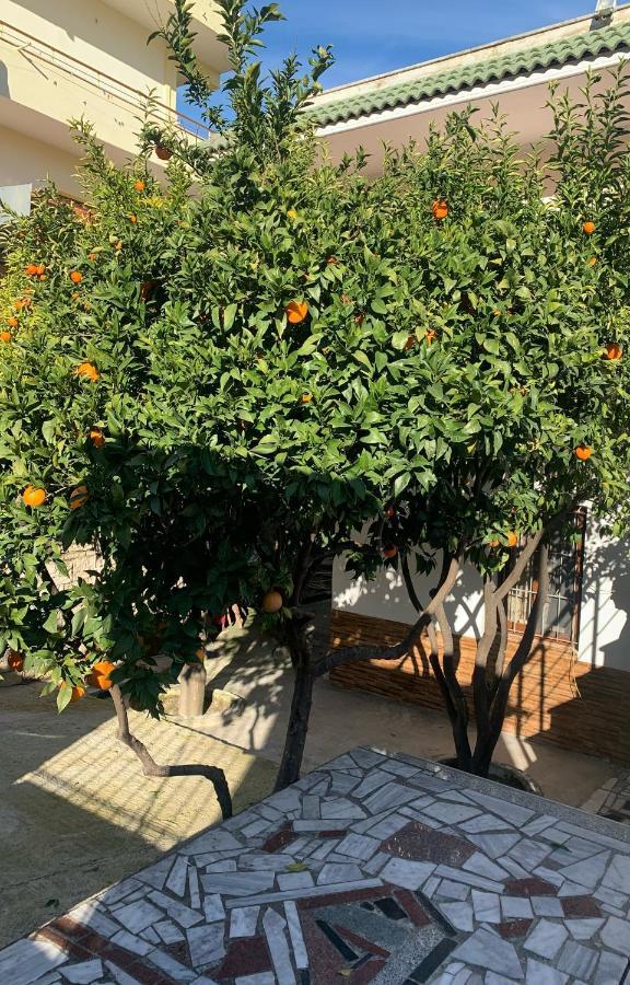 Vila Demaj! Free Parking Μπεράτ Εξωτερικό φωτογραφία